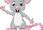 Die  kleine  Maus  Mimi rettet den Hase