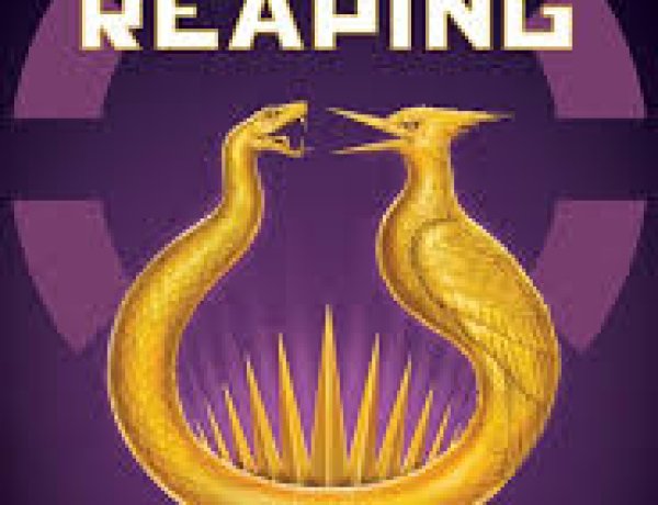 Sunrise on the reaping