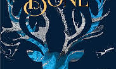 Shadow and Bone